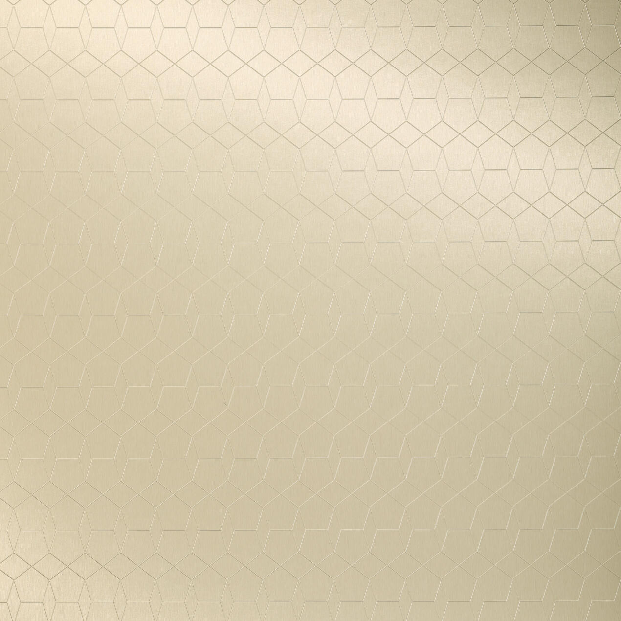 Alu Brushed Sapphire Champagne