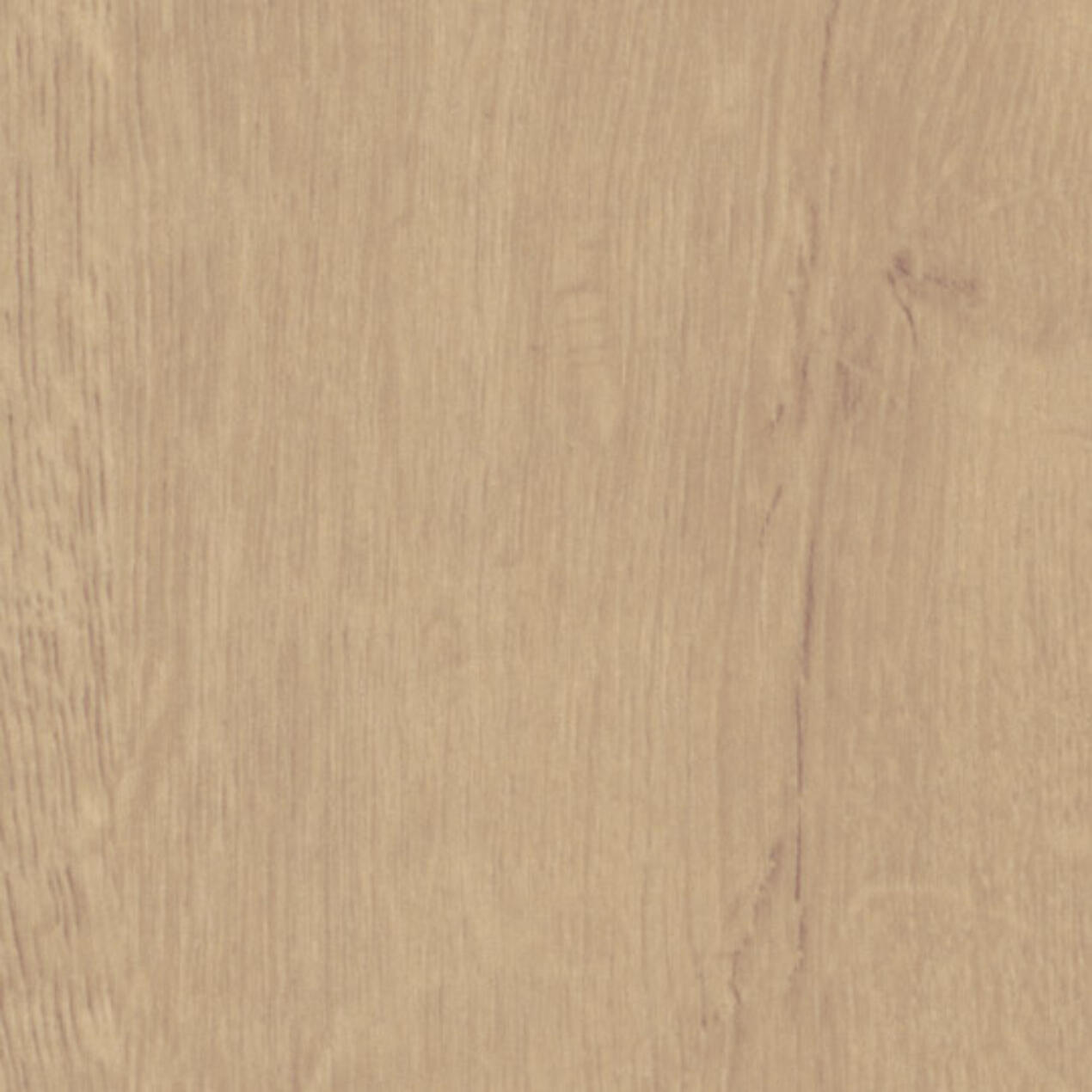 Quercus Beige