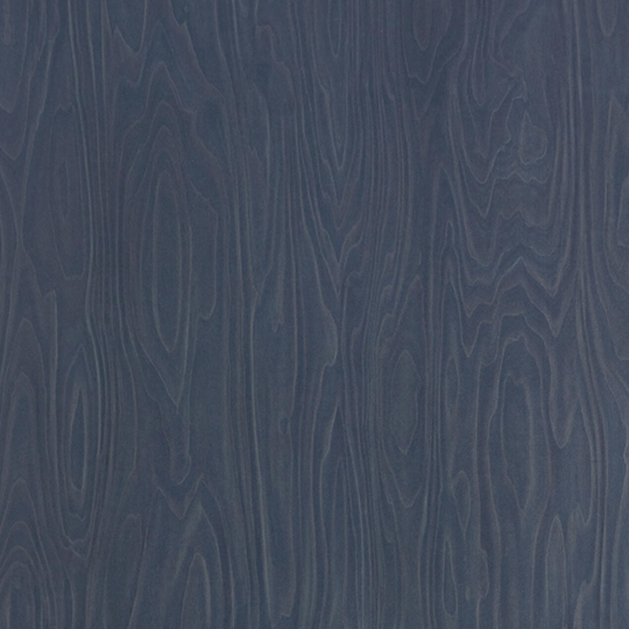 Dark Sky Birchply