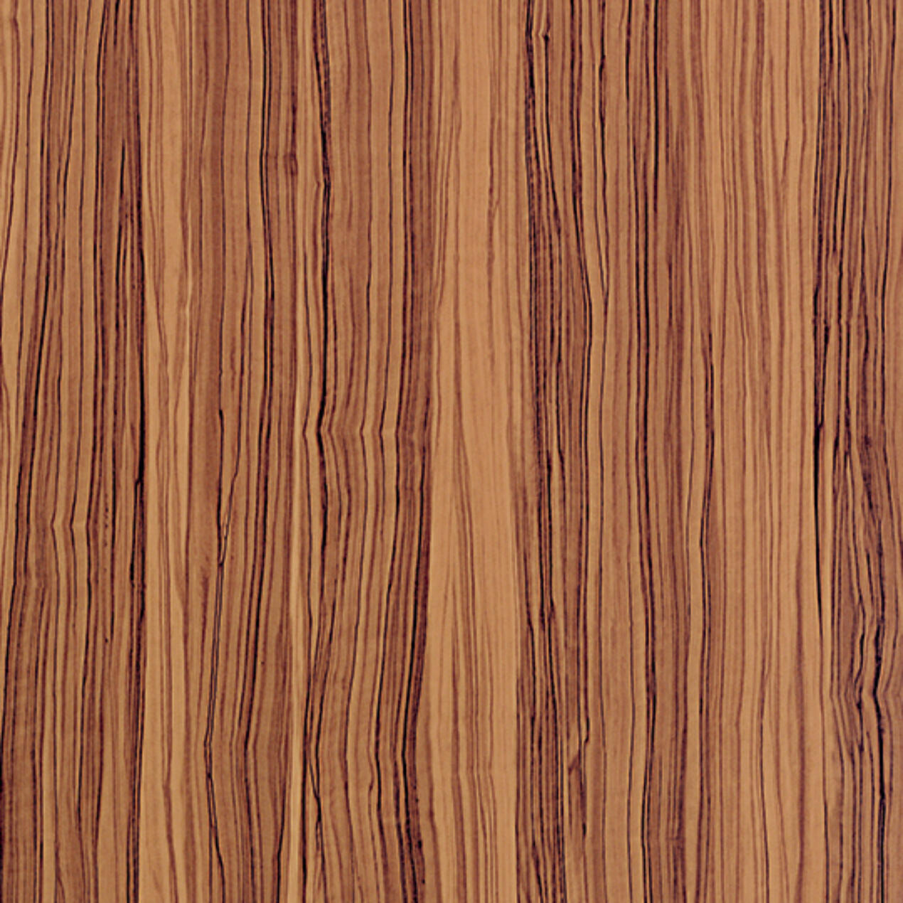 Oiled Olivewood