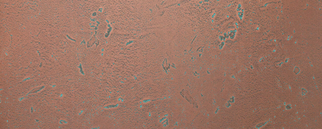 Copper Moon Turkuoise