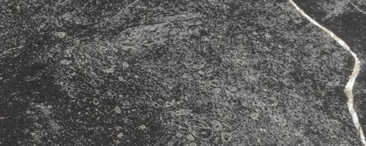 MARBLE VEIN NERO BRONZE