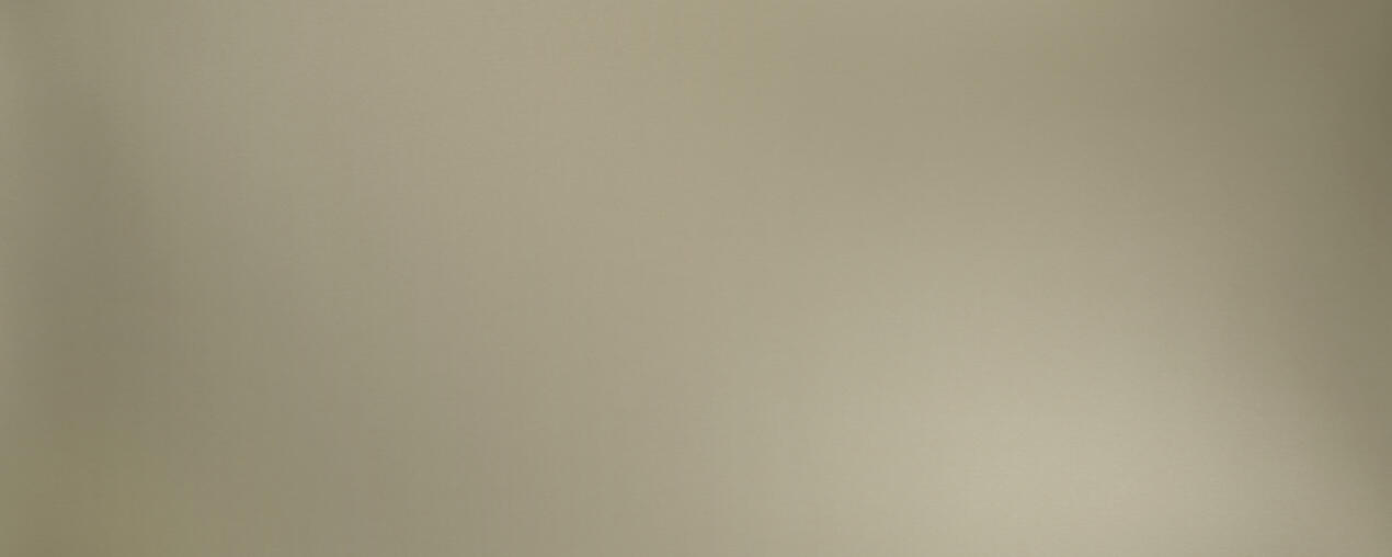 Alu Brushed Champagne