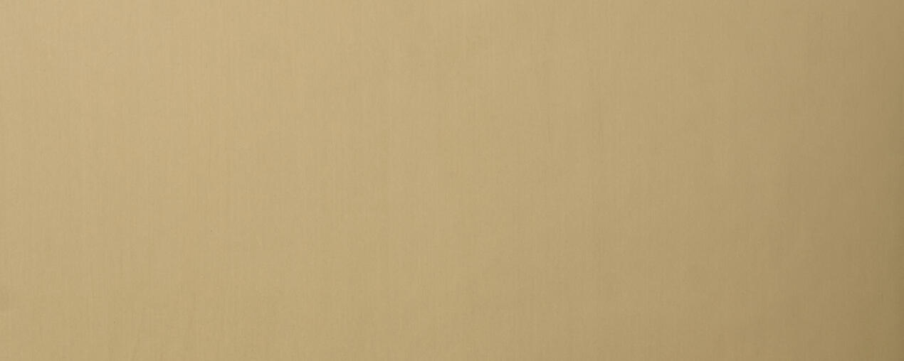 Alu Plain Polished Goldtone