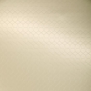 Homapal Alu Brushed Sapphire Champagne 325/360