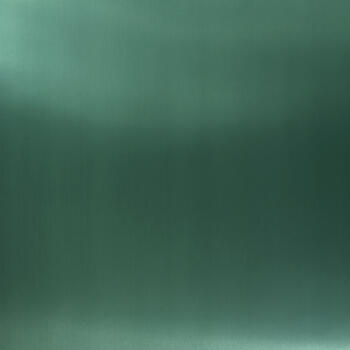 Homapal Alu Plain Polished Moss Green 359