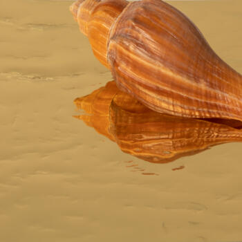 Dekodur A211 AQA A211/AQA