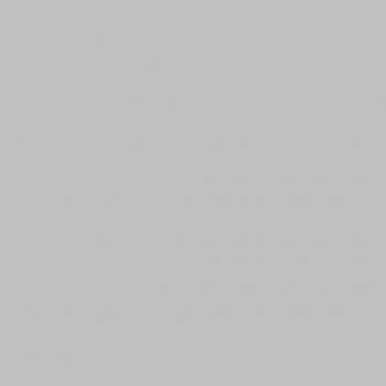 Formica Fossil F5349