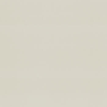 Formica Frosted Pearl F6349