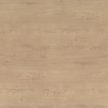 Formica Quercus Beige F8584