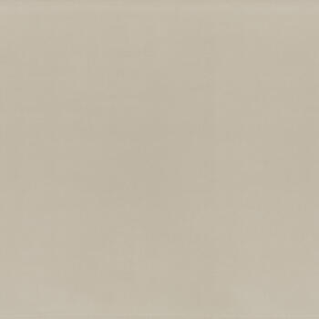 Formica Kopie Brushed Zinc F8837