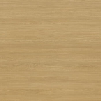 Formica Aged Ash F8844