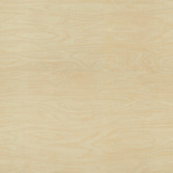 Formica Raw Birchlpy F8910