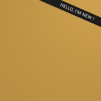 Unilin INDIAN CURRY 0U641 BST