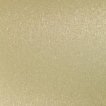 Homapal Aluminium Cross-Brushed Goldtone 434