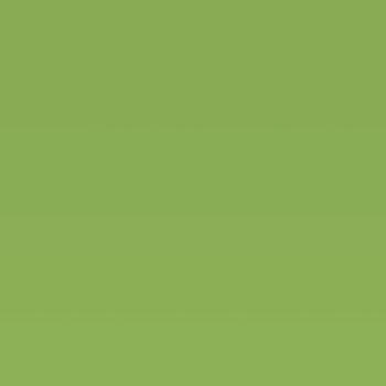 Homapal Apple Green Matt (popis křídou) 8259