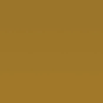 Homapal Curry Glossy (Boardmarker) 8277