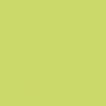 Formica Lime CC4177