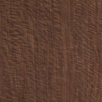 Formica Black Walnut F3485
