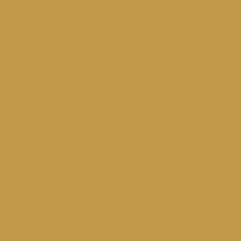 Formica Polished Gold Aluminium M2041